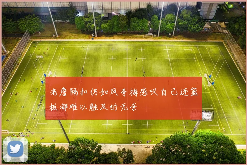 老詹隔扣仍如风夸梅感叹自己连篮板都难以触及的无奈